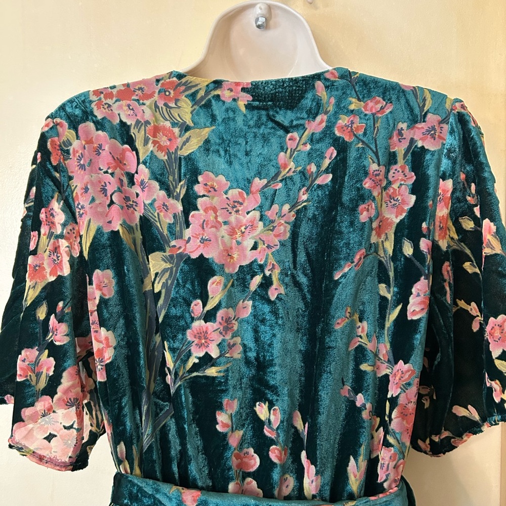 Baltic Born Green Floral Velvet Maxi Dress with Pink Flowers - Picture 9 of 12